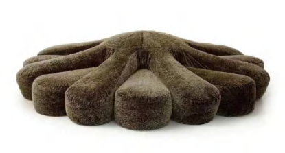 Sofa 图片11